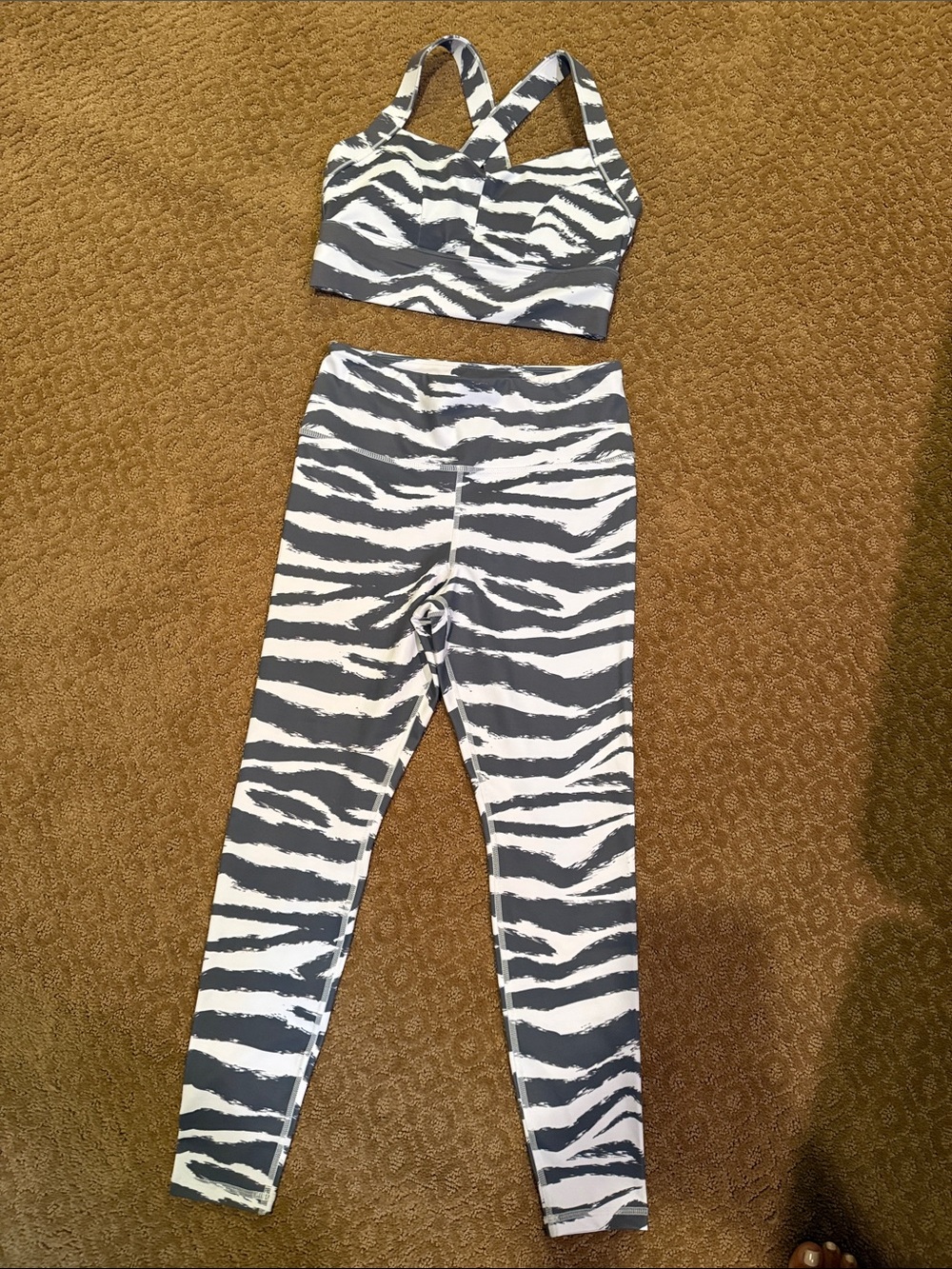 Lilybod Black & White Zebra-Stripe Sports Bra and Leggings Set